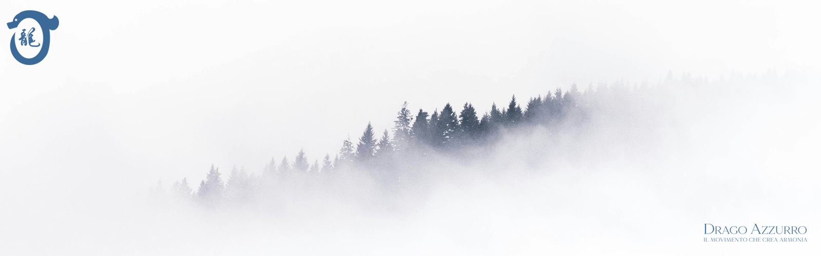 Bosco nella nebbia | Corsi di ginnastica del benessere, ginnastica dolce, posturale, pilates, ginnastica per parkinson | Arti marziali cinesi, Taiji Quan, QiGong, DaoYin e difesa personale | Camin, Camponogara, Campolongo Maggiore, Dolo, Fossò, Fiesso d'Artico, Legnaro, Noventa Padovana, Padova, Ponte di Brenta, Ponte San Niccolò, Sandon, Venezia, Vigonovo, Villatora, Saonara, Stra.